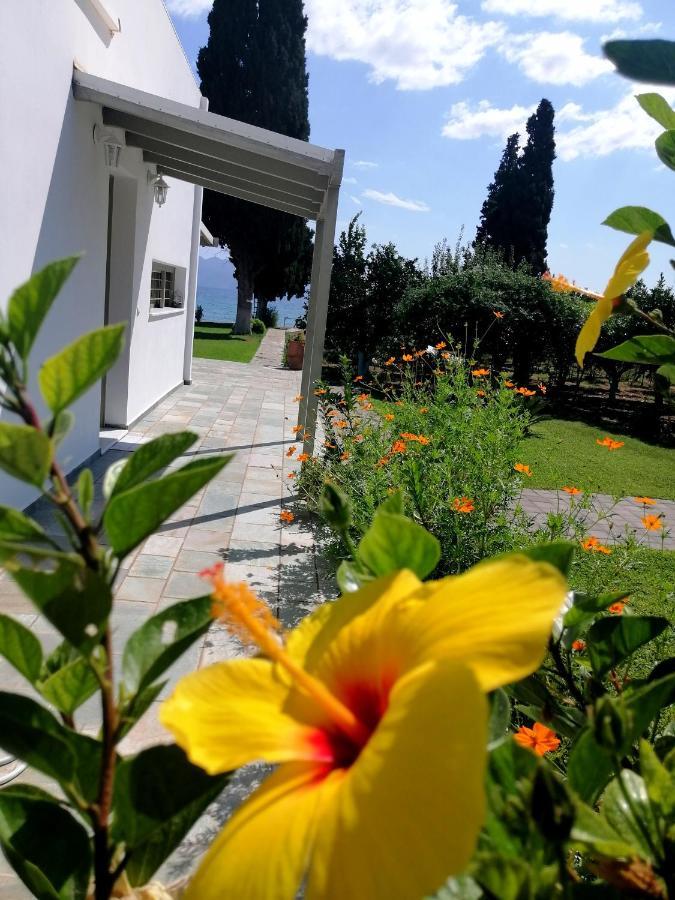Villa Maria Epidaurus Eksteriør bilde